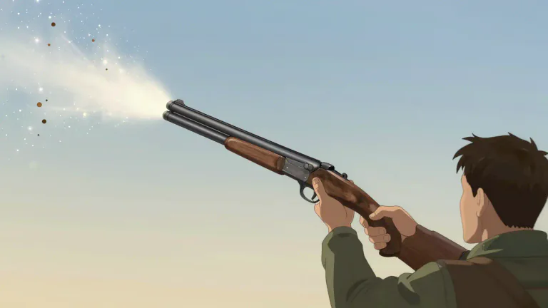 Visual representation of "scattergun" - A type of shotgun that fires a large number of small pellets instead of a single projectile.