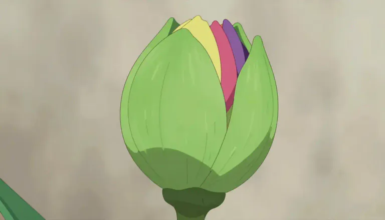 Visual representation of "sepal" - The green petal-like part at the base of flower that protect flower's bud.