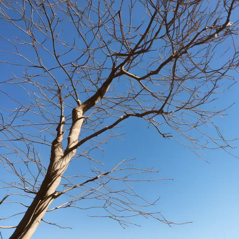 Visual representation of "slender" - Fragile or delicate