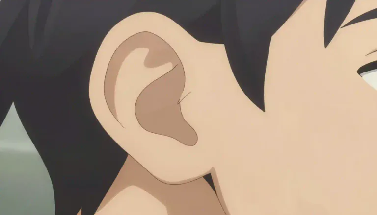 Visual representation of "earhole" - The opening of the ear through which sound is heard.
