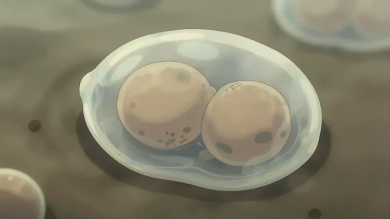 Visual representation of "cyst" - A small structure or object that is developed by fungus, algae or other small creatures to survive harsh conditions.