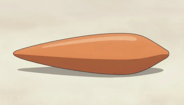 Visual representation of "fusiform" - Fusiform refers to an object or structure that is tapered at both ends, resembling the shape of a spindle.