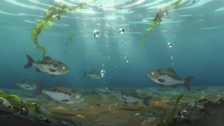 Visual representation of "methylmercury" - Methylmercury is a highly toxic compound formed when mercury combines with organic matter, particularly in aquatic environments.