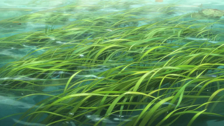 Visual representation of "hydrilla" - A fast-growing aquatic plant native to India and Africa, commonly found in freshwater bodies around the world.