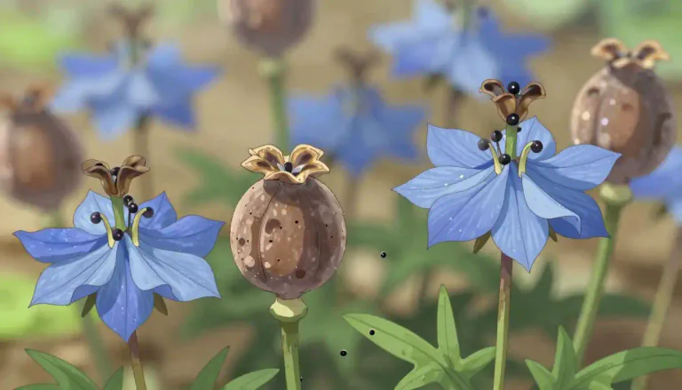Visual representation of "nigella" - A flowering plant known for its aromatic seeds, often used as a spice in cooking.